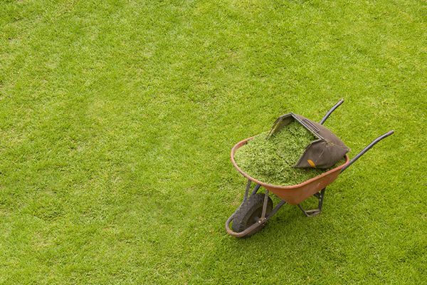 Empresa que Vende Grama em Pará de Minas