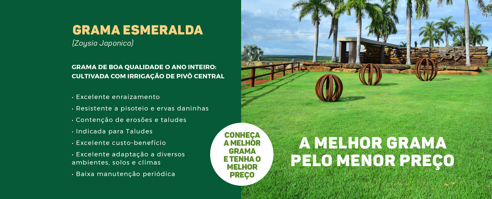 Gramas Esmeralda, Gramas São Carlos e Bermudas em Pará de Minas | Ageo Gramas